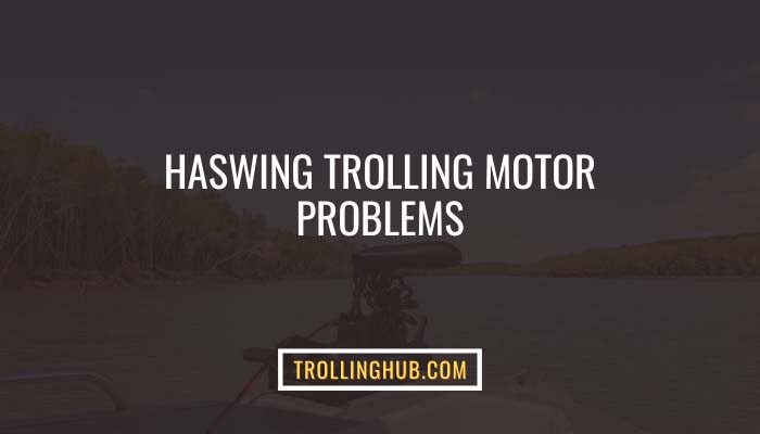 Haswing Trolling Motor Problems