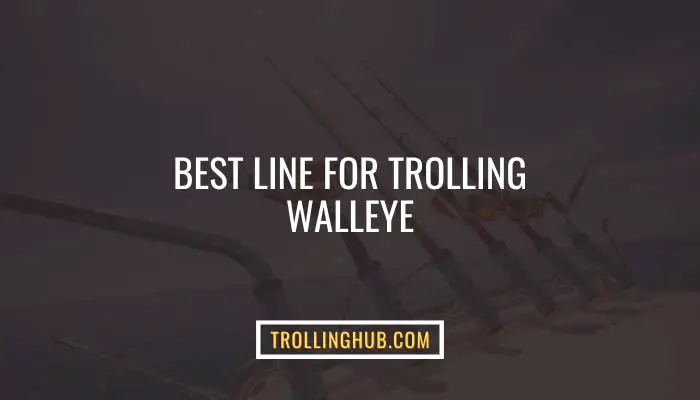 Best Line For Trolling Walleye