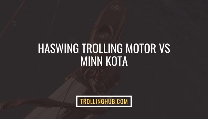 Haswing Trolling Motor Vs Minn Kota