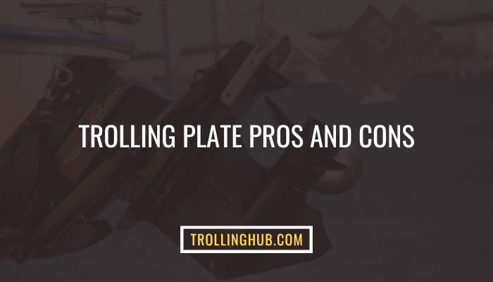 Trolling Plate Pros And Cons