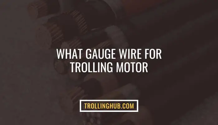 What Gauge Wire For Trolling Motor You Require