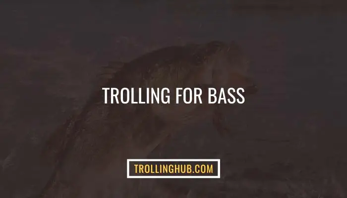 Trolling For Bass