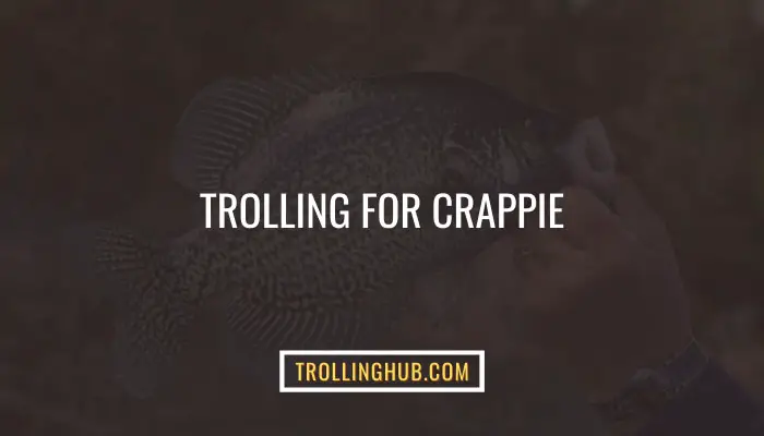 Trolling For Crappie