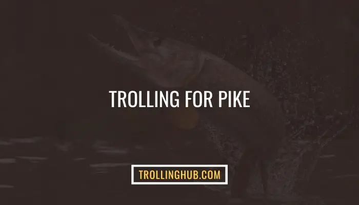 Trolling For Pike