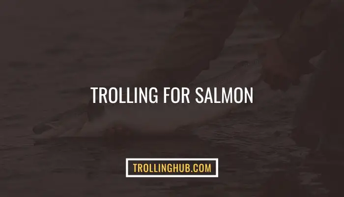 Trolling For Salmon