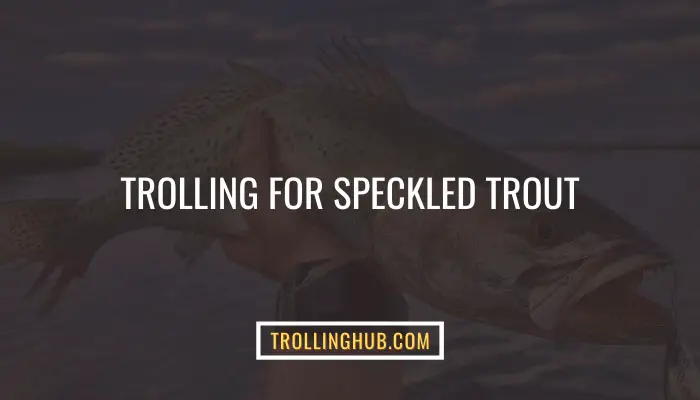 Trolling For Speckled Trout