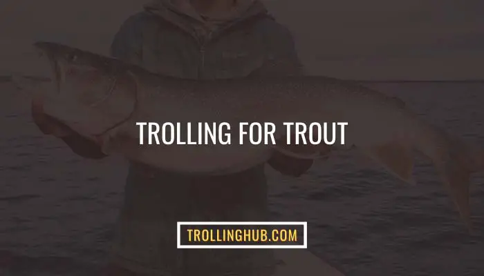 Trolling For Trout
