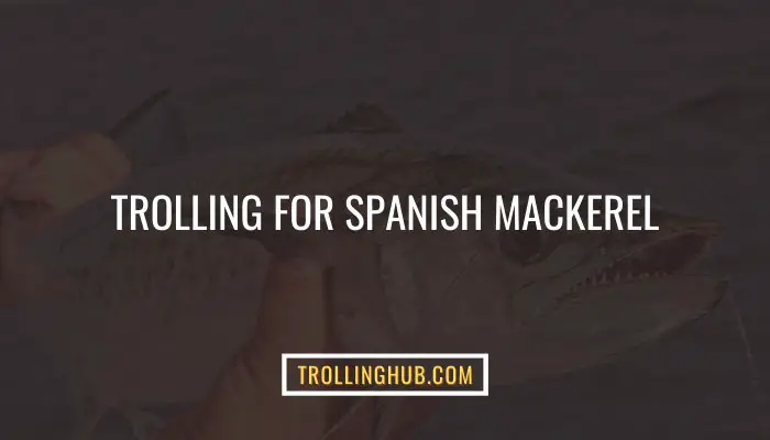 Trolling For Spanish Mackerel