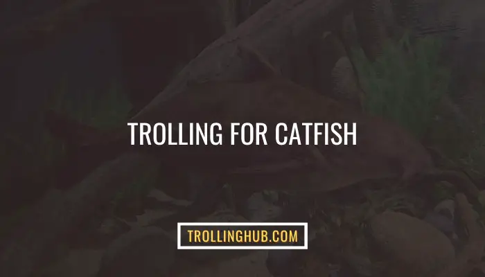 Trolling For Catfish