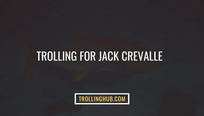 Trolling For Jack Crevalle: