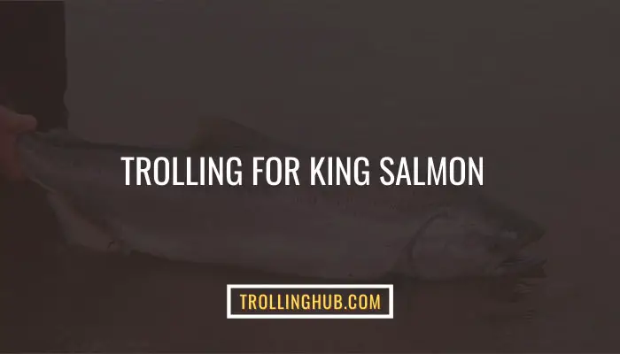 Trolling for King Salmon