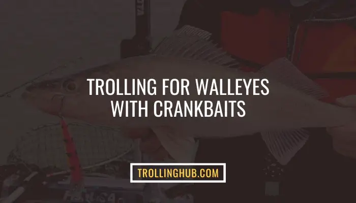 Trolling for Walleyes with Crankbaits