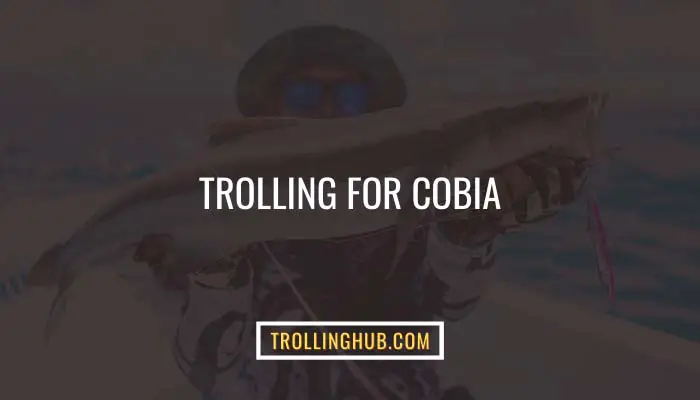 Trolling For Cobia