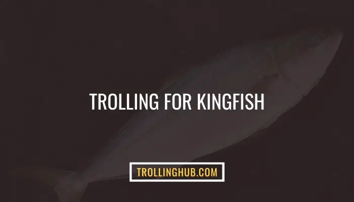 Trolling For Kingfish