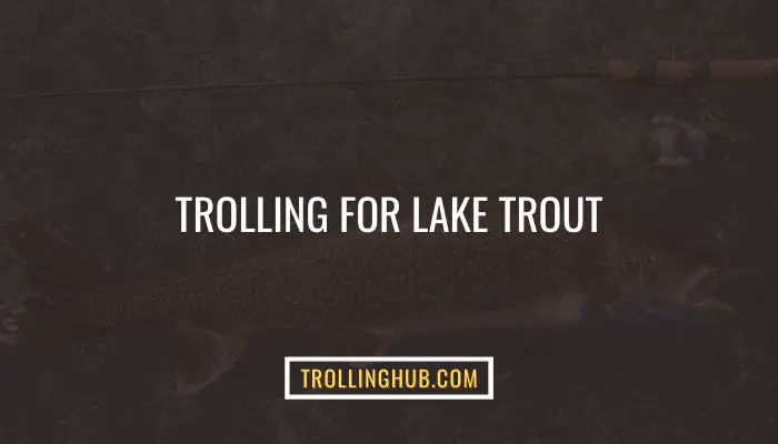 Trolling For Lake Trout