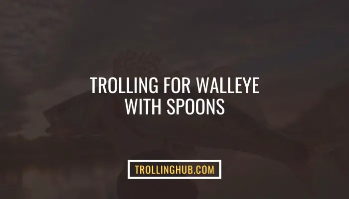 Trolling For Walleye With Spoons